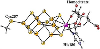 A Systematic DFT Approach for Studying Mechanisms of Redox Active Enzymes